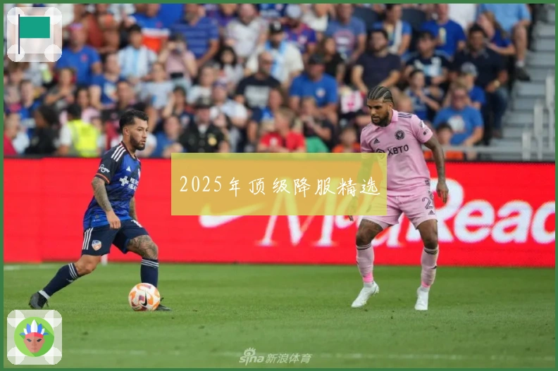 2025年顶级降服精选